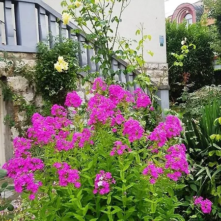 And Macva - Apartamento