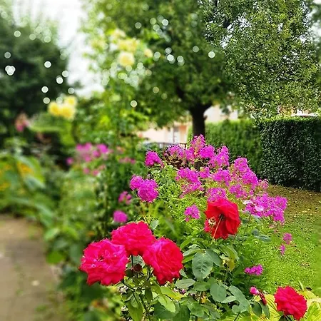 And Macva - Apartamento Banja Koviljača