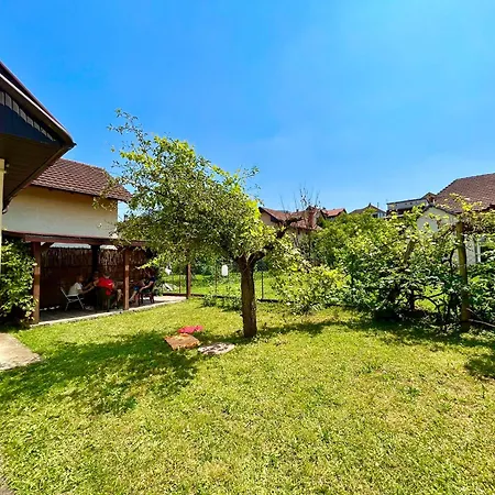 Apartamento And Macva - *