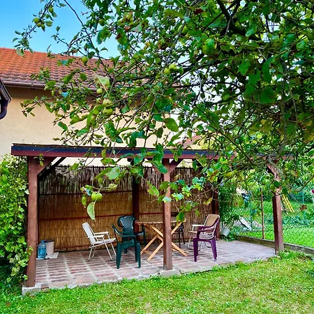 Apartamento And Macva -