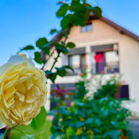 And Macva - Apartamento