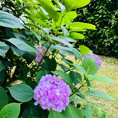 Apartamento And Macva - Banja Koviljača