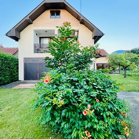 And Macva - Apartamento