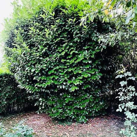 Apartamento And Macva - Banja Koviljača