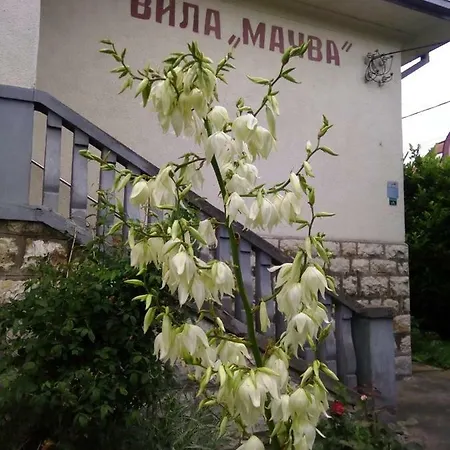 Apartamento And Macva - *