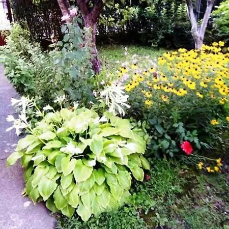 And Macva - Apartamento Banja Koviljača