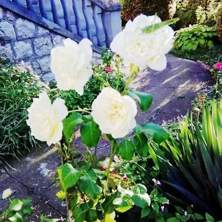 And Macva - Banja Koviljača