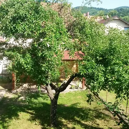 And Macva - Apartamento *