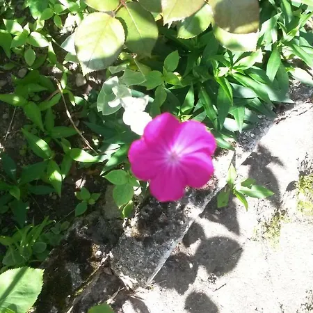 And Macva - * Banja Koviljača